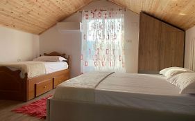 Guesthouse & Hospitality